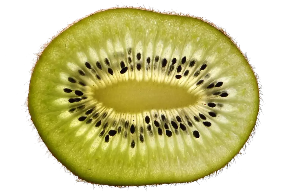Popínavé Kiwi